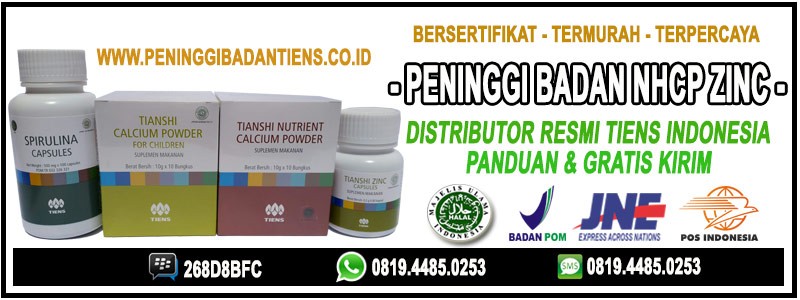 obat pelangsing badan yang bagus