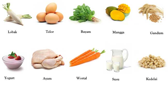 9 Resep Makanan dan Minuman yang Dapat Cepat Membantu Meninggikan Badan
