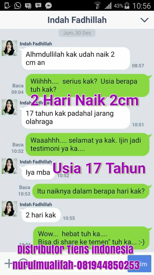 review nhcp peninggi badan