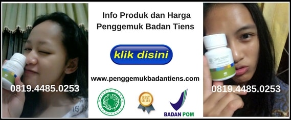 PENGGEMUK TIENS