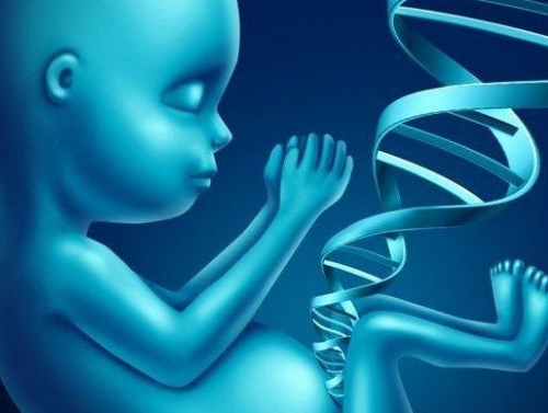 Tinggi Badan Tidak Selalu Diatur Oleh Faktor Genetik