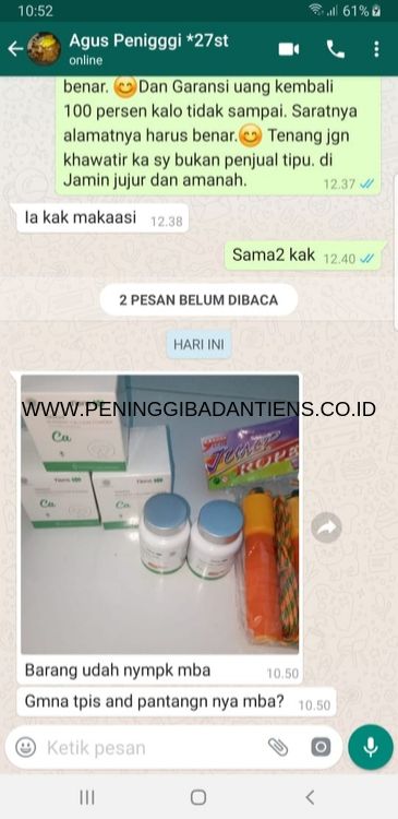 WWW.PENINGGIBADANTIENS.CO_.ID-1