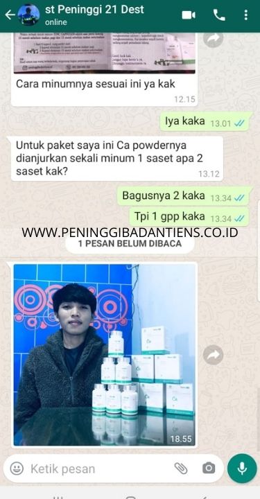 www.peninggibadantiens.co.id 2