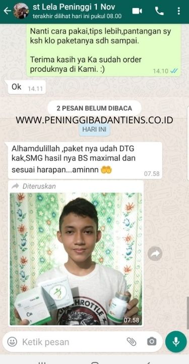 www.peninggibadantiens.co.id (27)