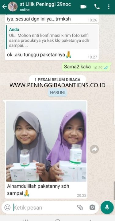 www.peninggibadantiens.co.id 8